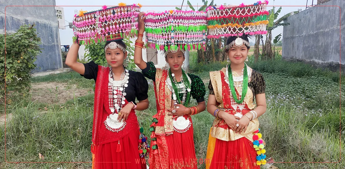 थारु समुदायको दशैं कस्तो हुन्छ ?