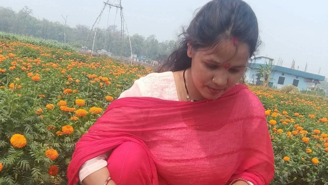 फूलखेतीबाट आत्मनिर्भरसँगै आम्दानी गर्दै धनगढीकी सुशीला